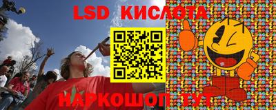 крисы Ливны