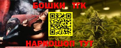 шишки Лесосибирск