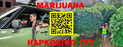 шишки Лесосибирск