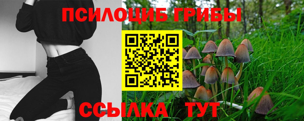 Среднеуральск  Псилоцибиновые грибы Cubensis  Вход с VPN 