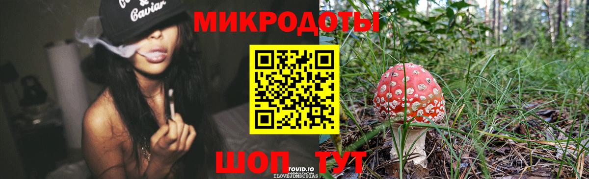 Псилоцибиновые грибы мицелий Среднеуральск